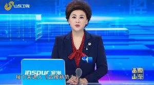 深入探访跨国企业的“中国答案”