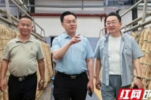 中国工程院院士刘仲华调研理想华莱 共谋黑茶产业高质量发展新篇章
