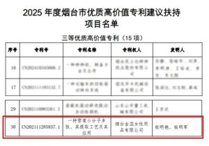 金天国际荣获政府优质高价值专利项目奖项