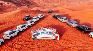 2025绿之韵碧波庭总监迪拜尊享之旅收官