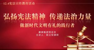弘扬宪法精神 康婷党总支开展普法宣传活动