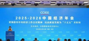 金天国际受邀出席中国经济年会再次连任理事</a>