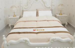 和治友德：小年话养生 “助”您健康迎春节