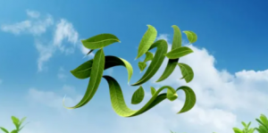 喜讯！天津和治友德制药有限公司参与起草的国家标准《天然食品成分使用指南》正式发布实施