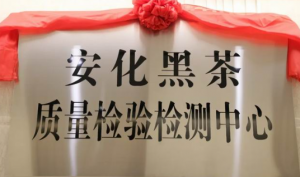 探寻理想华莱高质量发展的“科技密码”