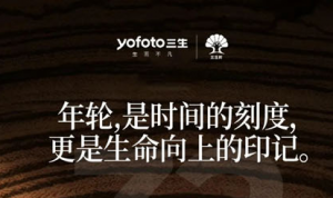 一文读懂三生新品牌、新定位</a>