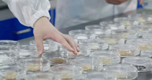 不追速度守精度:春芝堂生产观察可追溯可验证
