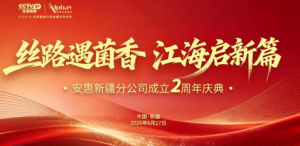 荣耀时刻 安惠新疆分公司成立两周年庆典举行