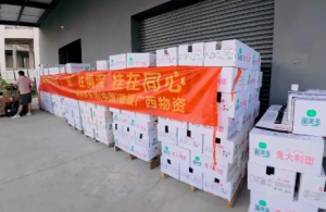 圃美多乐活携手广西慈善联合总会，捐赠25万元物资驰援当地洪涝灾区
