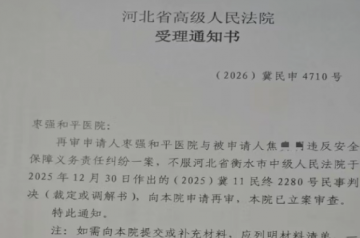 一起医疗损害纠纷跨度十年诉讼反复，三级法院先后驳回诉求；抗诉发回重审，河北一法院依“咨询意见”定残，医院被判赔四十余万</a>