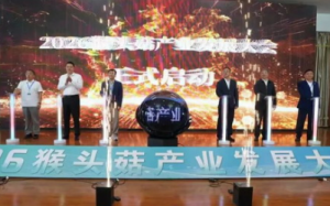 安惠董事长陈惠参加2026猴头菇产业发展大会