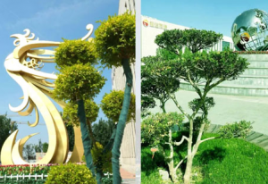 和治友德：以微小清洁之力 守护地球生生不息
