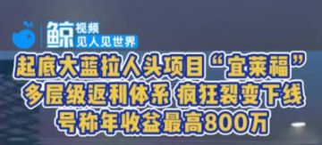网红大蓝：宜莱福的“刽子手”</a>