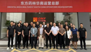 市监总局发展研究中心赴东方药林开展调研