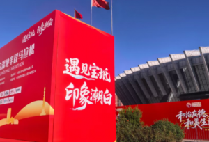 四载健康同行 畅跑共迎国庆：2026“和治友德”宝坻潮白湿地半程马拉松盛大举办</a>