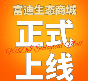 富迪生态商城正式上线 开辟大健康零售新路径
